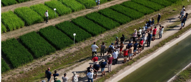 Nova convocatòria oberta d'ajuts per als Grups Operatius dotada amb 10 milions d'euros