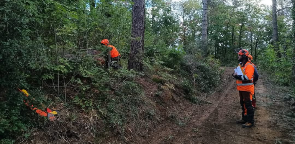 Sessió pràctica de formació en treballs forestals en el marc de l’oferta de les escoles agràries.