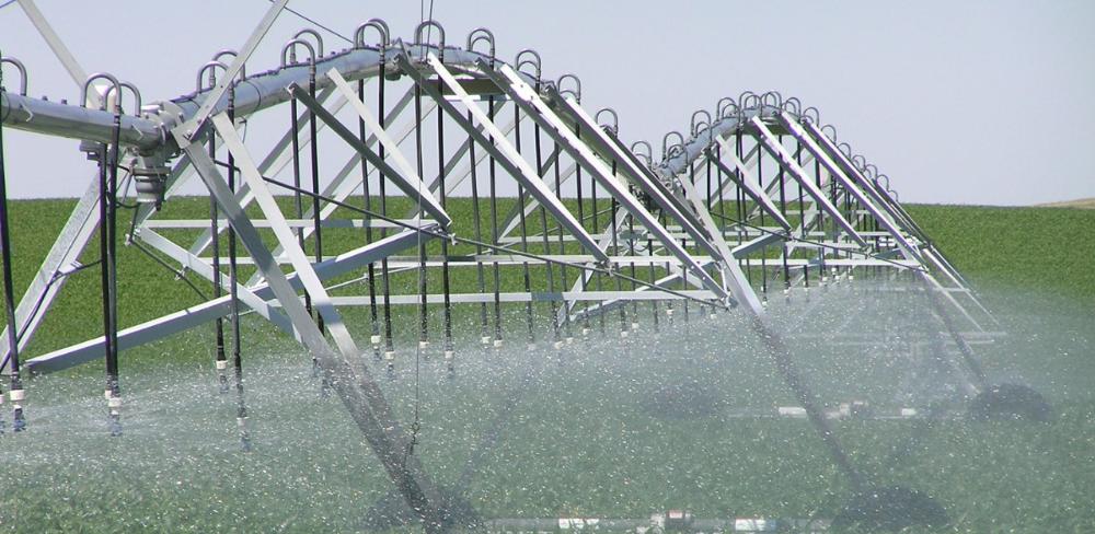 El servei de recomanacions setmanals tornarà el març del 2026, però mentrestant els usuaris podran revisar parcel·les, instal·lacions i compartir la seva opinió per millorar l’eina.