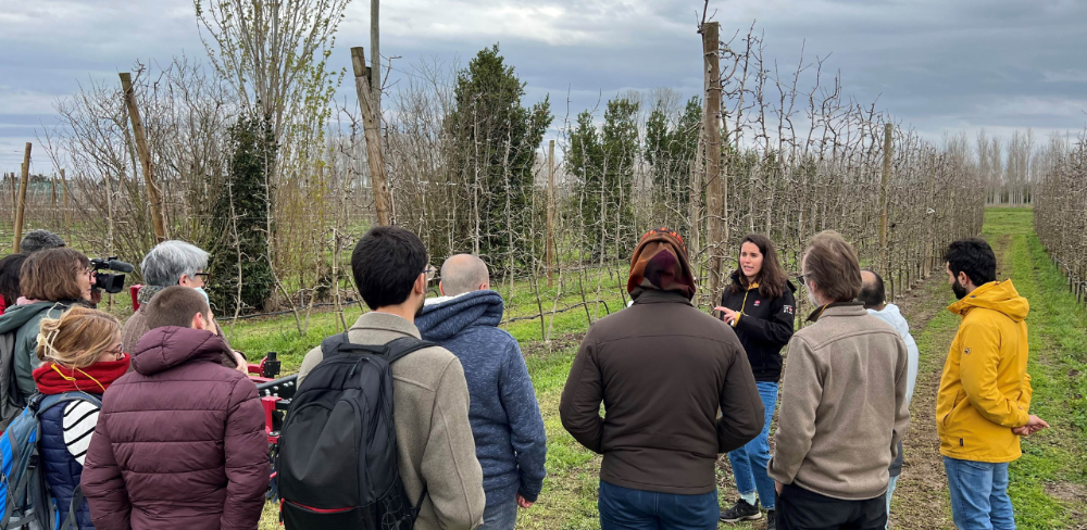 Treball de camp amb membres del Grup de Treball de Carboni al Sòl a la finca de l’IRTA Mas Badia.