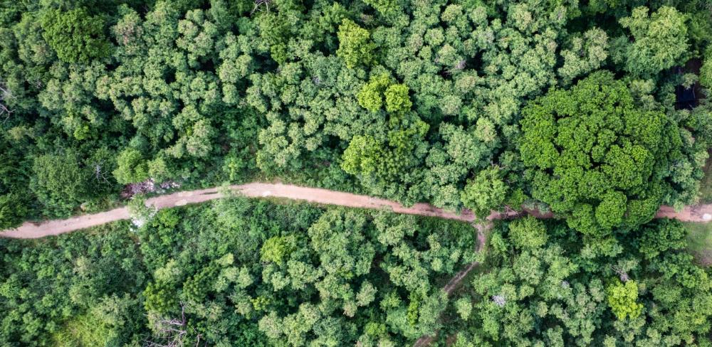 Aquesta eina facilita que les empreses puguin identificar punts crítics on reduir emissions i ajustar els processos per avançar cap a models més sostenibles.