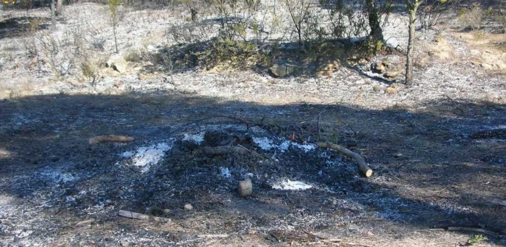 Cal l’autorització de la Direcció General de Boscos i Gestió del Medi, que l’any passat en va autoritzar més de 40.000