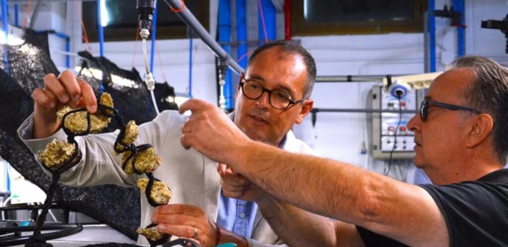 Enric Gisbert mostrant una instal·lació de cultiu de bivalves (font: IRTA, CC BY 4.0)