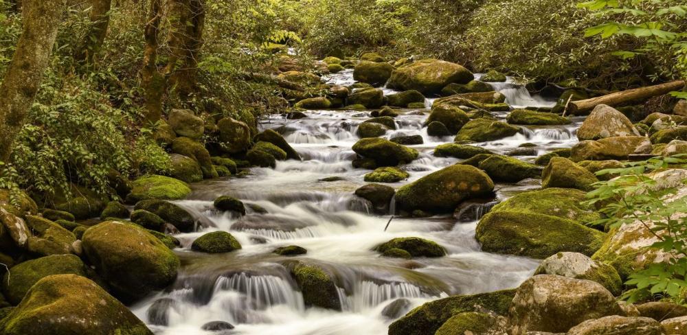 L'increment de les reserves també es reflecteix en la recuperació de les aportacions dels sistemes fluvials