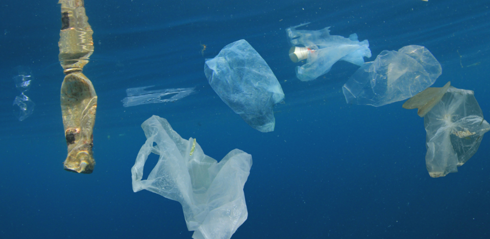 La iniciativa TRAP està cofinançada pel programa Interreg POCTEFA amb fons FEDER