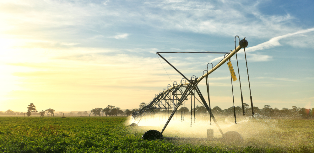 Regadiu en funcionament en camps agrícoles en una campanya amb bona disponibilitat d’aigua