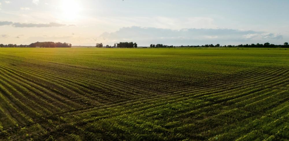 Les activitats de demostració han permès als agricultors conèixer tecnologies innovadores, impulsant la digitalització i la gestió sostenible del sector agrari a Catalunya