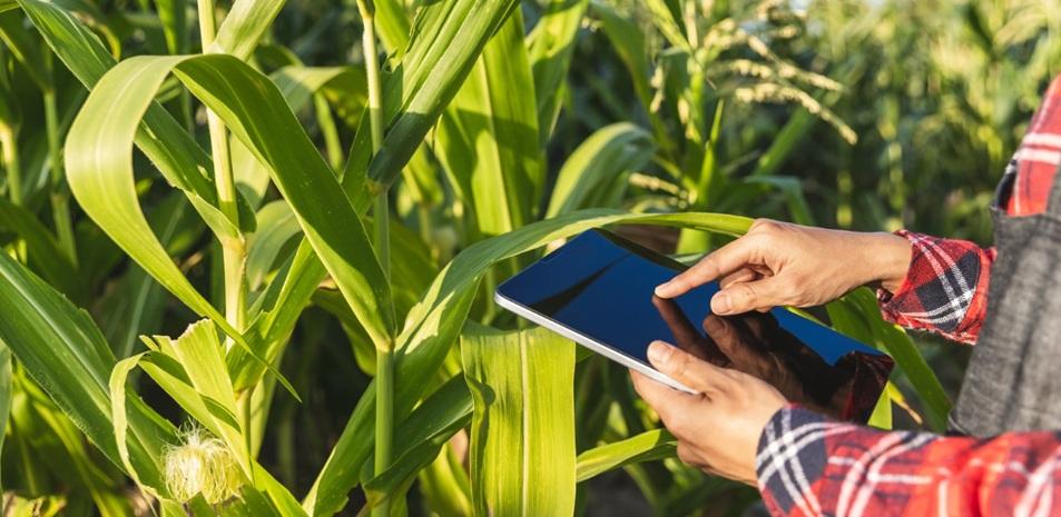 La microcredencial de la UB que impulsa l’emprenedoria agroalimentària amb suport NextGenerationEU.